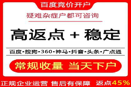 行业领先企业如何运用SEM运营推广